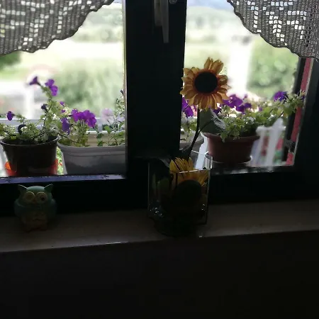 Kuca Za Odmor Brnada * Drniš